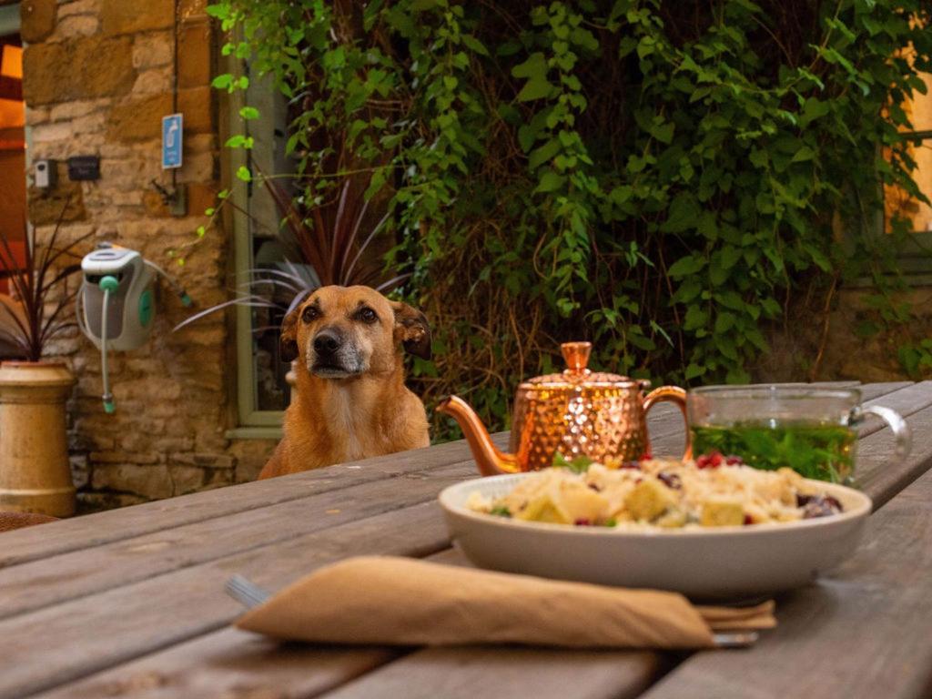 Alloggio per agriturismo High Paradise Farm *