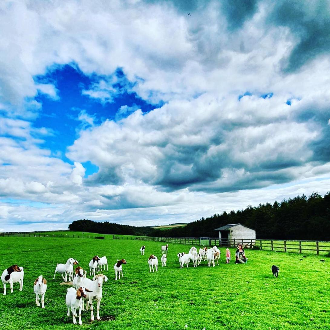 Alloggio per agriturismo High Paradise Farm Thirsk
